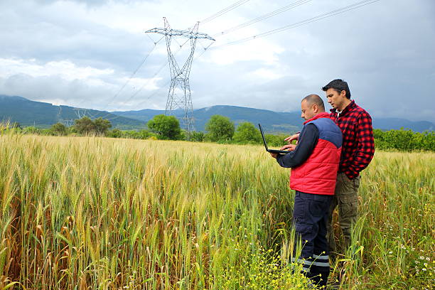 Two Farmer with laptop in wheat field