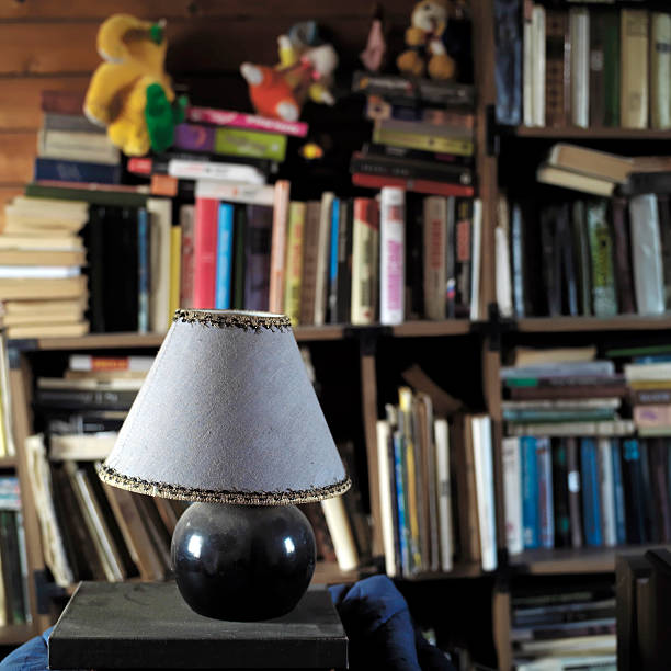 cozy library at home