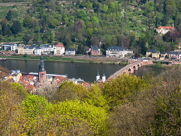 istock City view from the Koenigstuhl 528293996