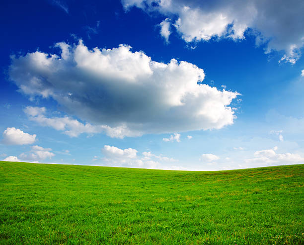 istock Summer landscape with green grass and blue sky. 528295388