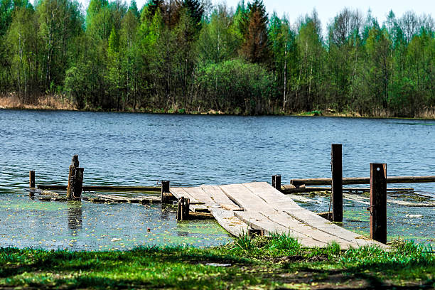 istock Pond near woodland 528295772