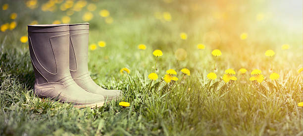 istock Wellington boots in the garden 528295808