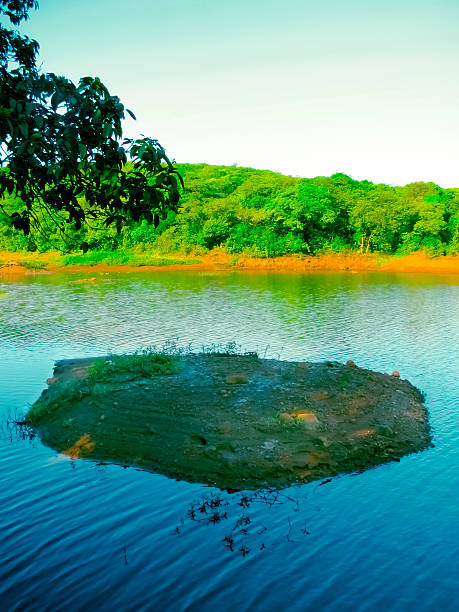 Beautiful View of kaveri river from upper anaicut during sunset. View from Mukkombu dam, Trichy