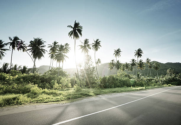 istock empty road in jungle of Seychelles islands 528298030