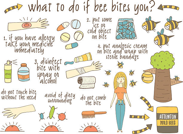 Infographic about what to do if bee bites you. Infographic about what to do if bee bites you. Hand drawn doodle objects collection uncluding bee, tree, hand, girl, ice, medicine, gel, spray, bite. Tips, advice collection hornet swarm stock illustrations