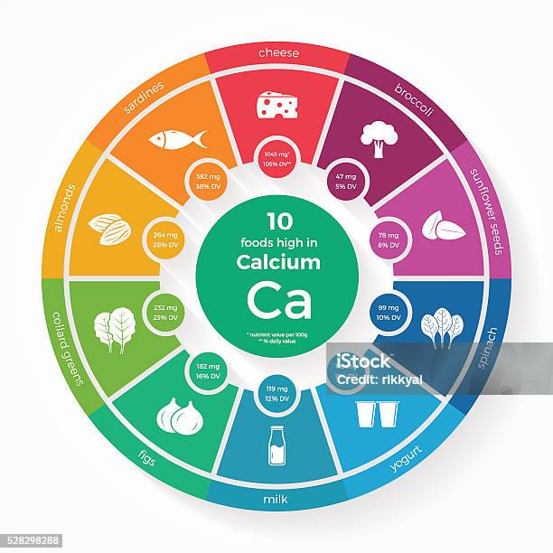 10 Foods High In Calcium Stock Illustration - Download Image Now - Infographic, Magnesium, Benefits