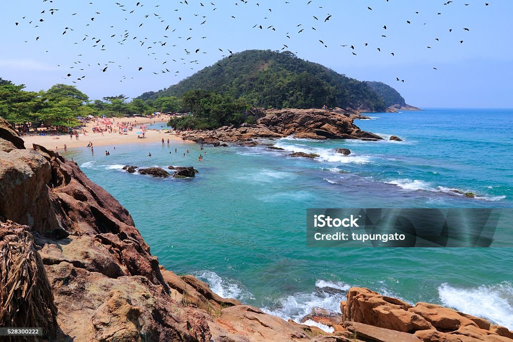 Brazil coast Brazil coast landscape - Trindade beach near Paraty. Atlantic Ocean Stock Photo