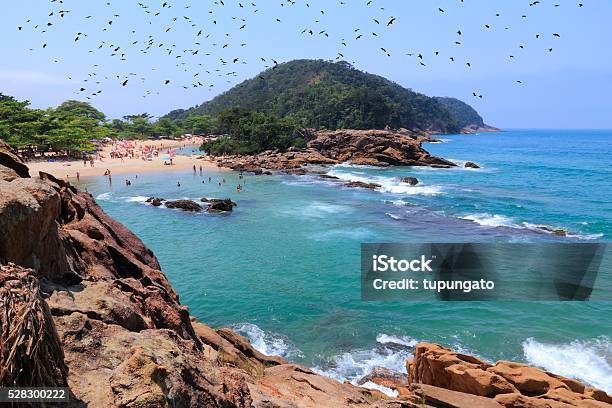 Brazil Coast Stock Photo - Download Image Now - Atlantic Ocean, Beach, Brazil