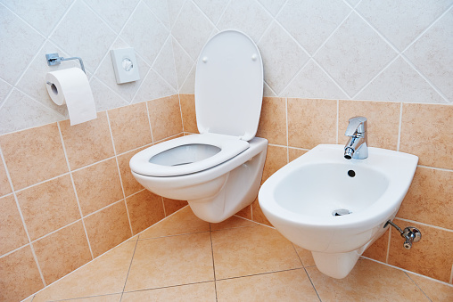 Clean toilet sanitary sink or bidet bowl with open lid unit in bathroom