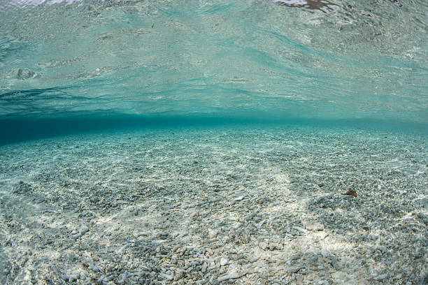 istock Shallow Sand Seafloor in Tropics 528305644