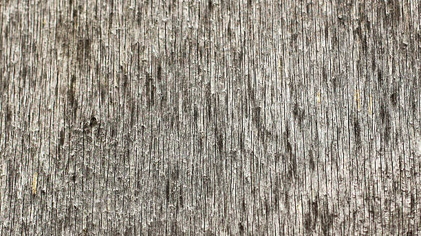 istock texture of the old painted gray board 528306268