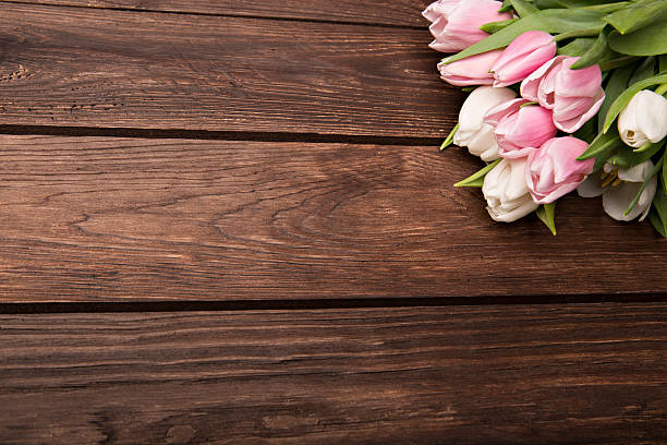 istock Pink tulips on a brown wooden background 528310186
