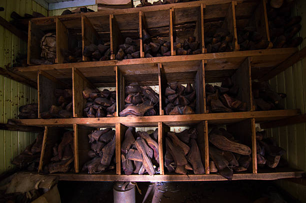 istock Shelf full of shoe lasts 528310226
