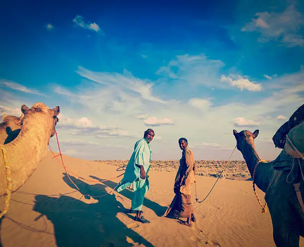 Vintage retro hipster style travel image of Vintage retro hipster style travel image of Rajasthan travel background - two indian cameleers (camel drivers) with camels in dunes of Thar desert. Jaisalmer, Rajasthan, India