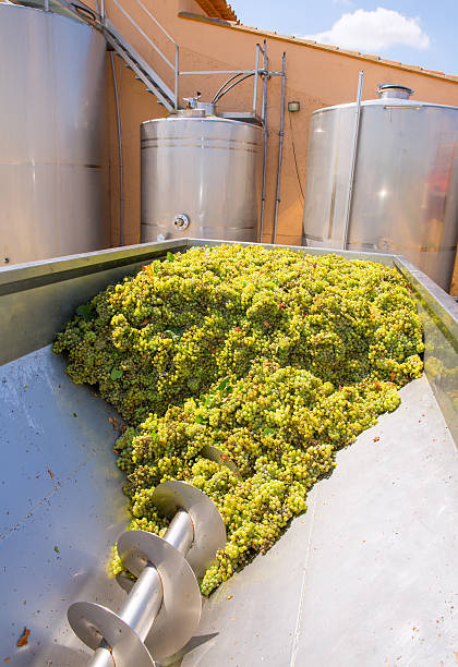 istock chardonnay corkscrew crusher destemmer in winemaking 528311495