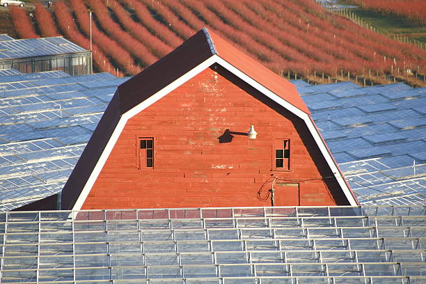istock Red Barn and Greenhouses 528313203
