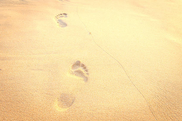 istock Texture of sand and footprints in the sand 528313237