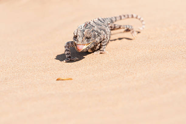 istock Anticipation of eating 528313399