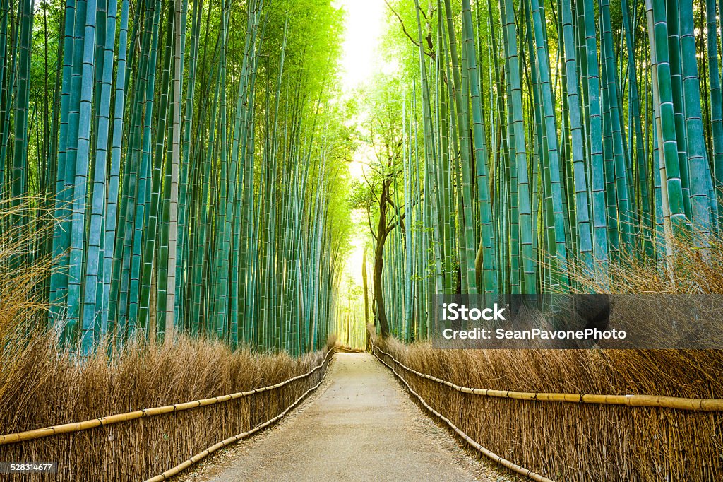 Kyoto, Japon Forêt de bambous - Photo de Japon libre de droits