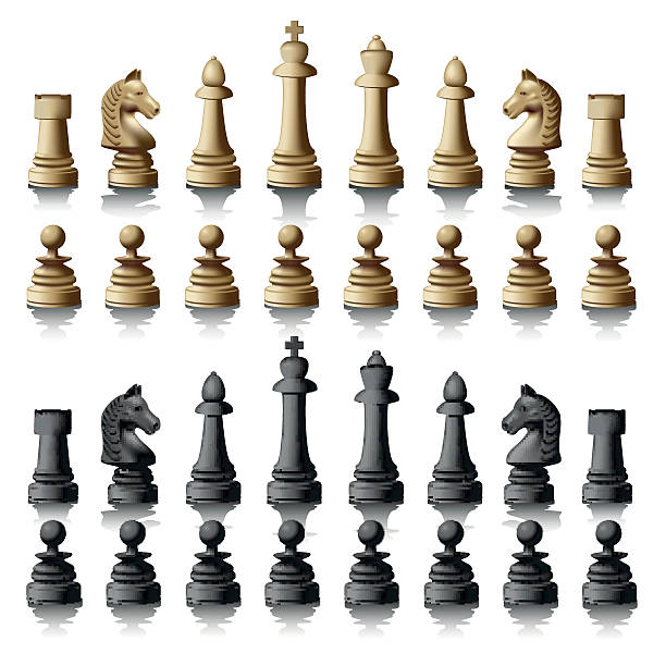 ilustrações, clipart, desenhos animados e ícones de xadrez - white background wood in a row macro