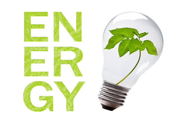 zielona energii - environmental conservation recycling thinking global warming zdjęcia i obrazy z banku zdjęć