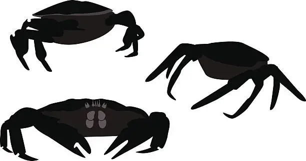 Vector illustration of Crabs