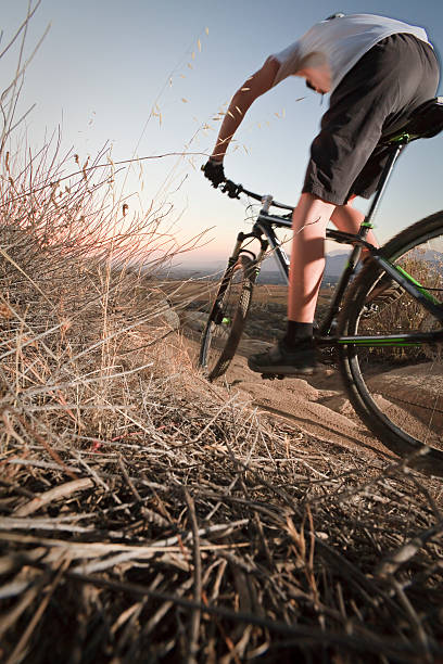 istock Mountain bike rider 528317269