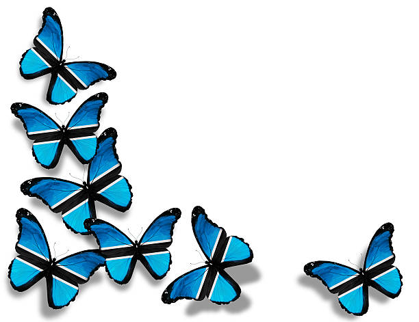 istock Botswana flag butterflies, isolated on white background 528317281