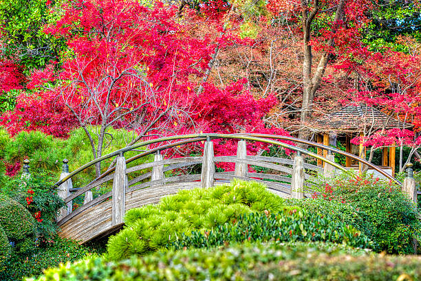 Miniature bridge and footpath with river below