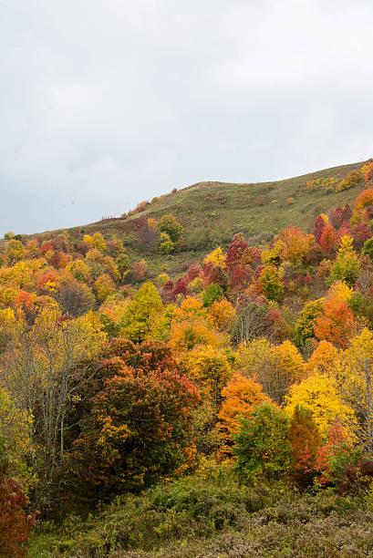 istock Autumn in the Appalachian Mountains 528318061