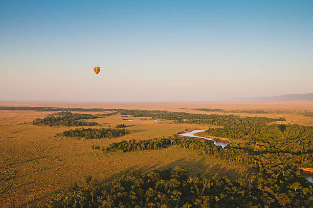 viaggio attraverso il mara - masai mara foto e immagini stock