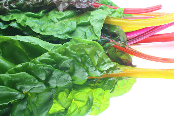 istock Swiss chard in a white background 528341463