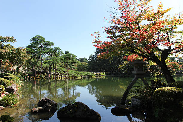 Japanese bridge in botanical garden stock photo