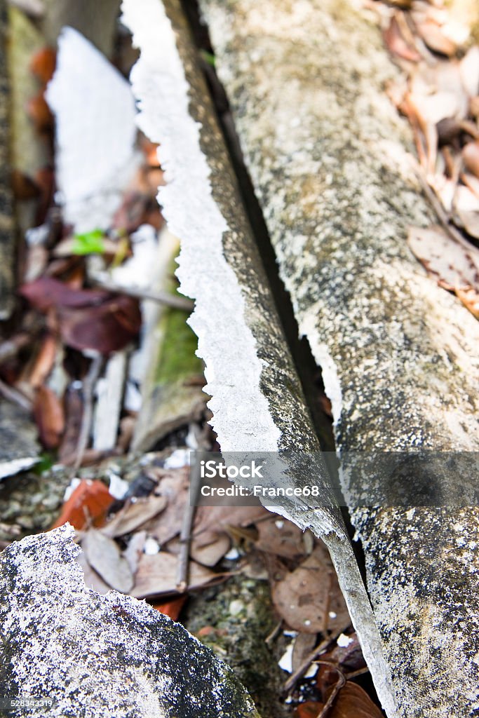 Illegal asbestos Dumping Illegal asbestos Dumping. Medical studies have shown that the asbestos particles can cause cancer. Aging Process Stock Photo