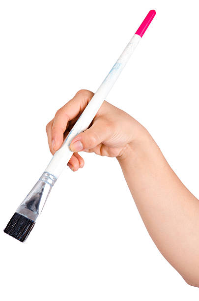 istock Holding a paint brush on white background 528343889