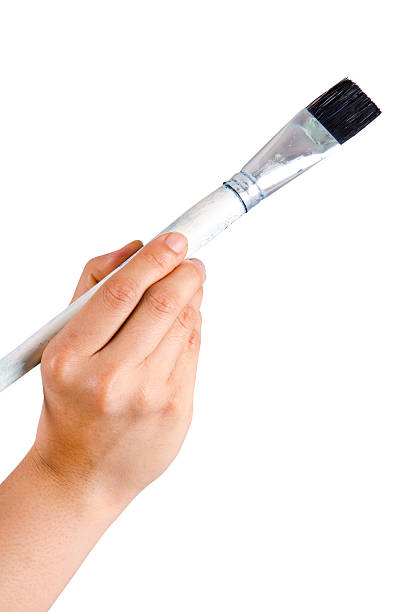 istock Holding a paint brush on white background 528343903