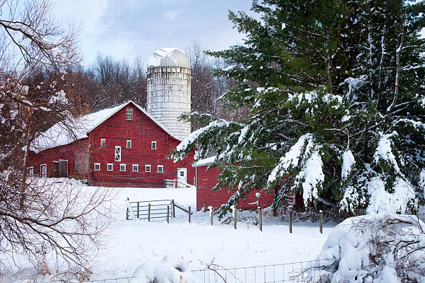 istock Red Barn and Silo, Early Winter 528359063