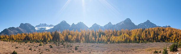 istock Canadian Rockies 528360261