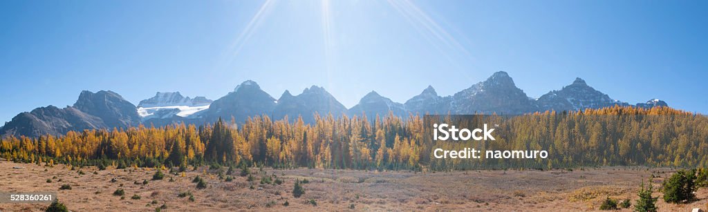 Canadian Rockies Larch Valley in Banff national park Alberta Stock Photo