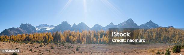 Canadian Rockies Stock Photo - Download Image Now - Alberta, Backgrounds, Banff National Park