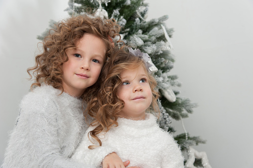 Cute pretty two girls portrait near Christmas tree