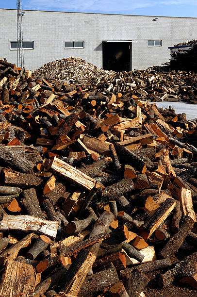 istock Many stacked wood logs 528361389