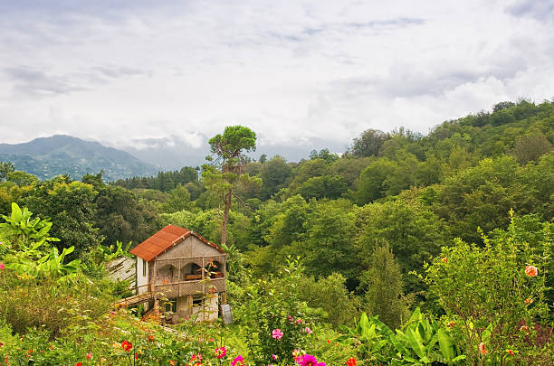 Maison dans les montagnes - Photo