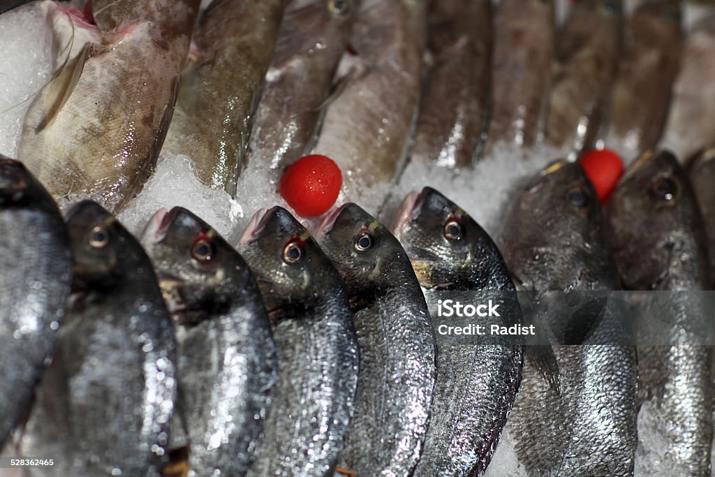 View of fresh fishes on the ice View of fresh fishes on the ice at a market Animal Scale Stock Photo