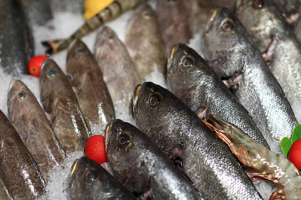 istock View of various fishes on the ice 528362487