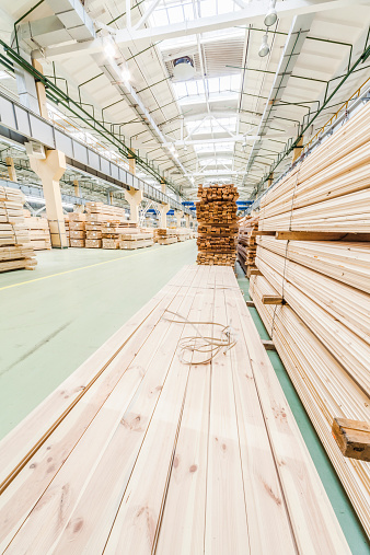 Lumber Factory: timber industry, manufacture of the plank