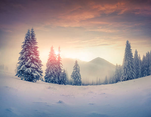 istock Foggy winter sunrise in the mountains 528364959