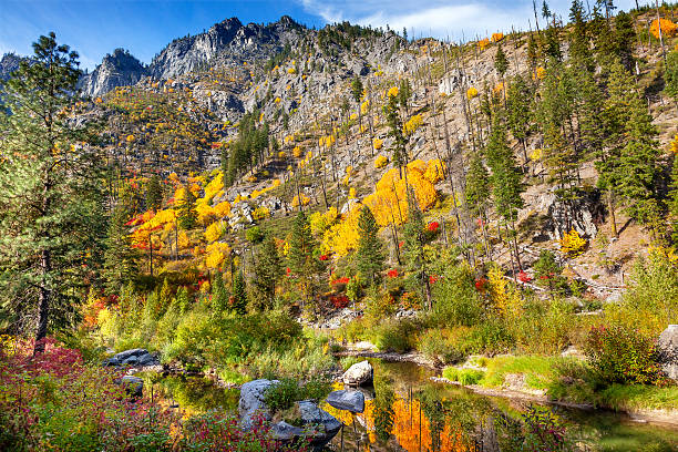 autunno giallo, rosso e verde, colori riflesso fiume wenatchee washington - leavenworth foto e immagini stock