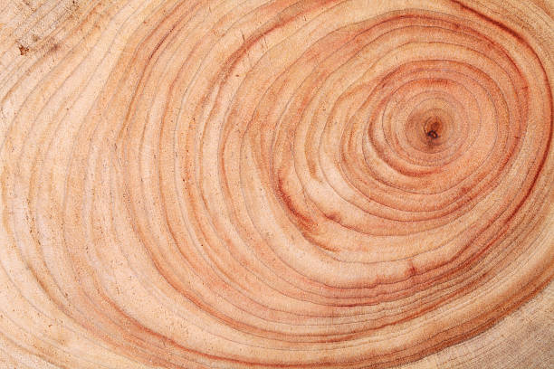istock Wood cutting boards with rings 528371075