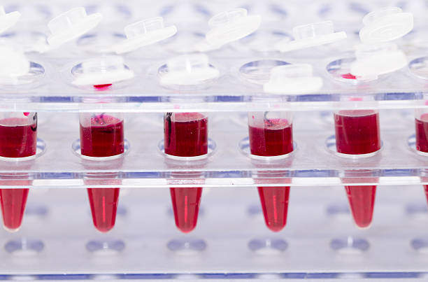 istock Blood collection tube 528371103